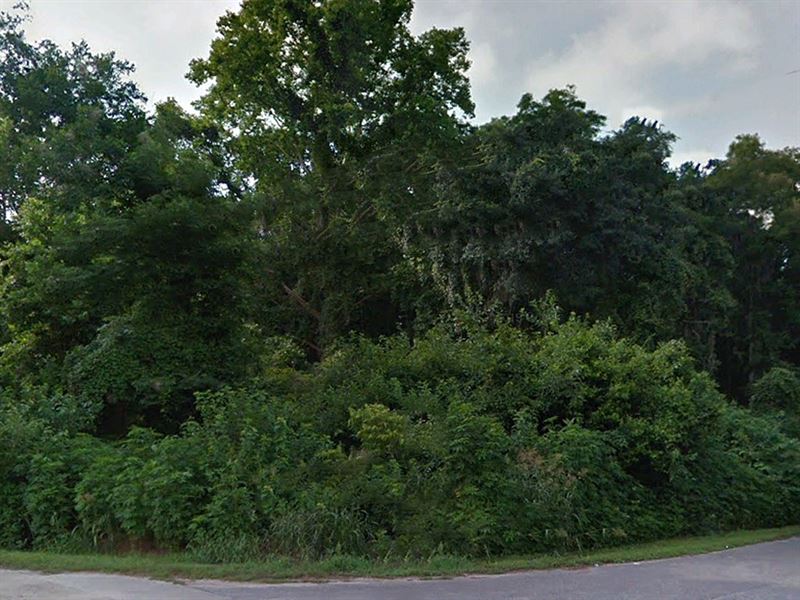 .57 Acre in Madison County, FL : Greenville : Madison County : Florida