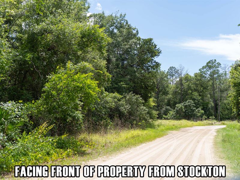 $7,900 Down, Owner Finance : Beverly Hills : Citrus County : Florida