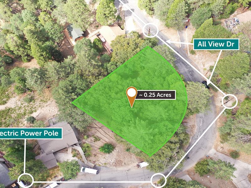 Treed Property with Utilities : Running Springs : San Bernardino County : California