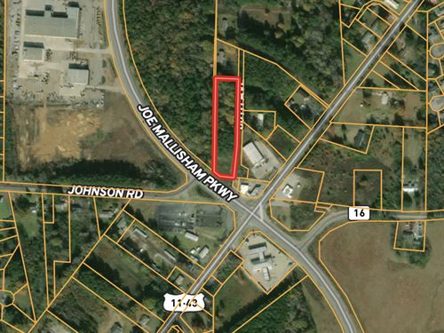 2 Acres Tuscaloosa, AL : Tuscaloosa : Alabama