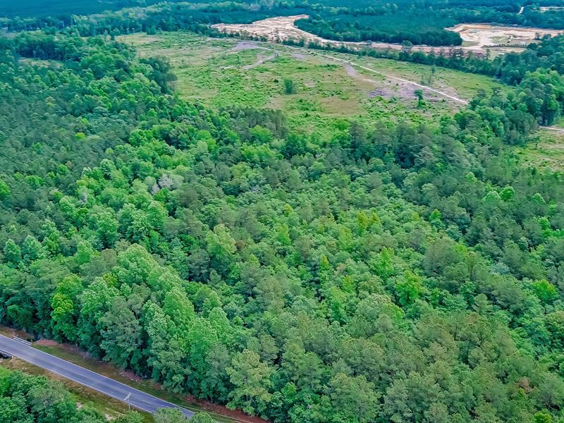 Mill Pond Road Tract : Galivants Ferry : Horry County : South Carolina