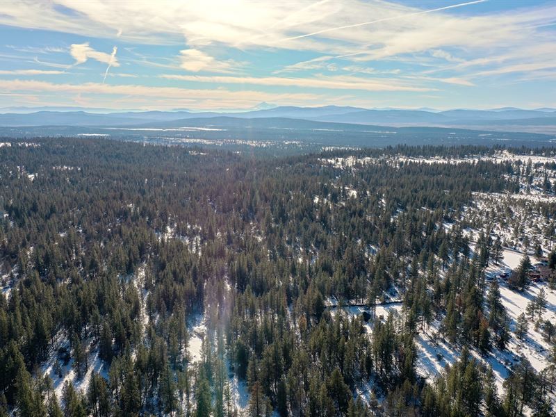 Beautiful Level Retreat with Power : Bonanza : Klamath County : Oregon