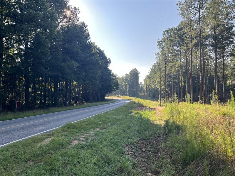 Gardner Bassett Tract D 16.81 Ac : Troy : Pike County : Alabama