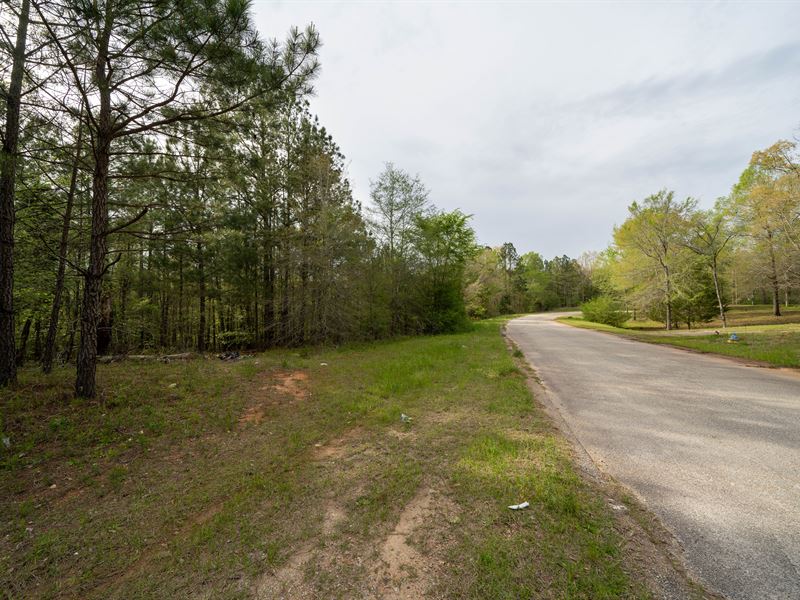 Perfect Possibility : Thomson : McDuffie County : Georgia