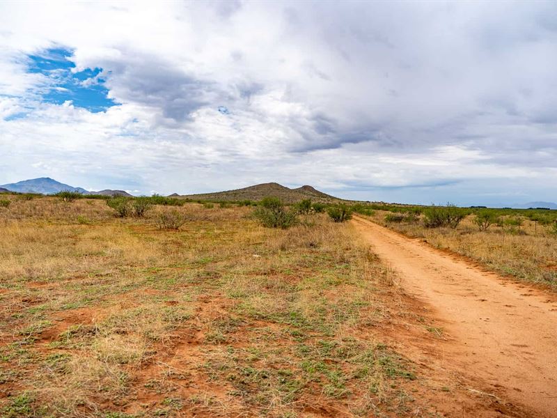 20 Acres, Owner Finance, $299 Down : Sunizona : Cochise County : Arizona
