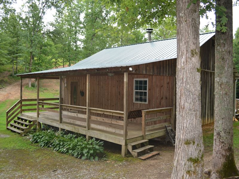 Cochran's Cabin 8 Ac. w. Pond : Fruithurst : Cleburne County : Alabama