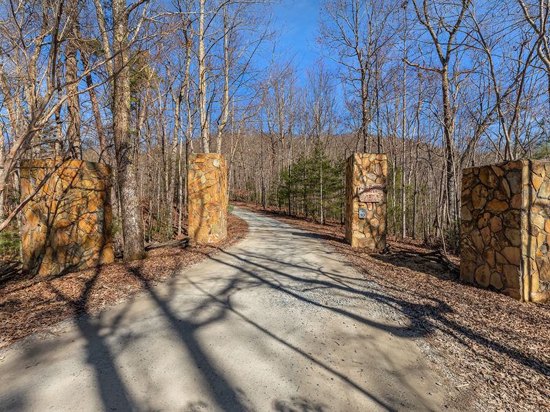 Better Price on 2 Lots : Morganton : Fannin County : Georgia