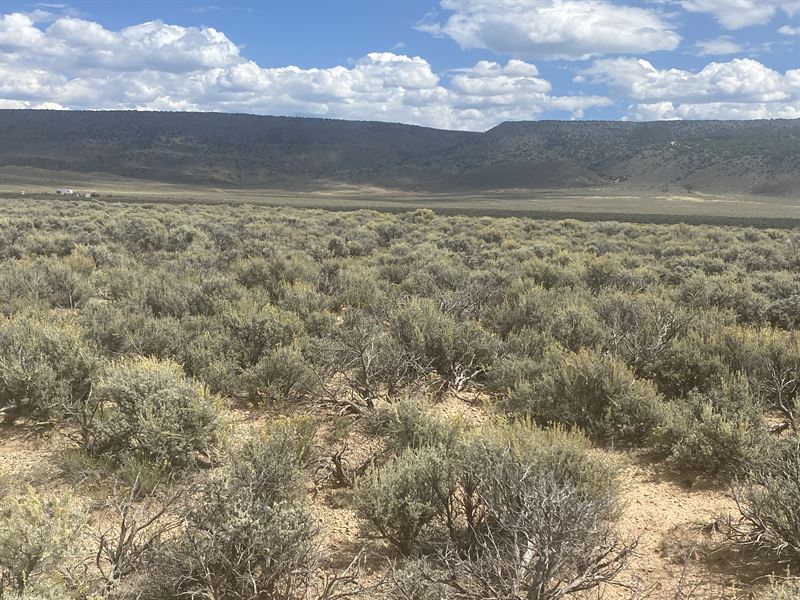 Live & Roam, 5 Ac in Co, $160/Mo : San Luis : Costilla County : Colorado