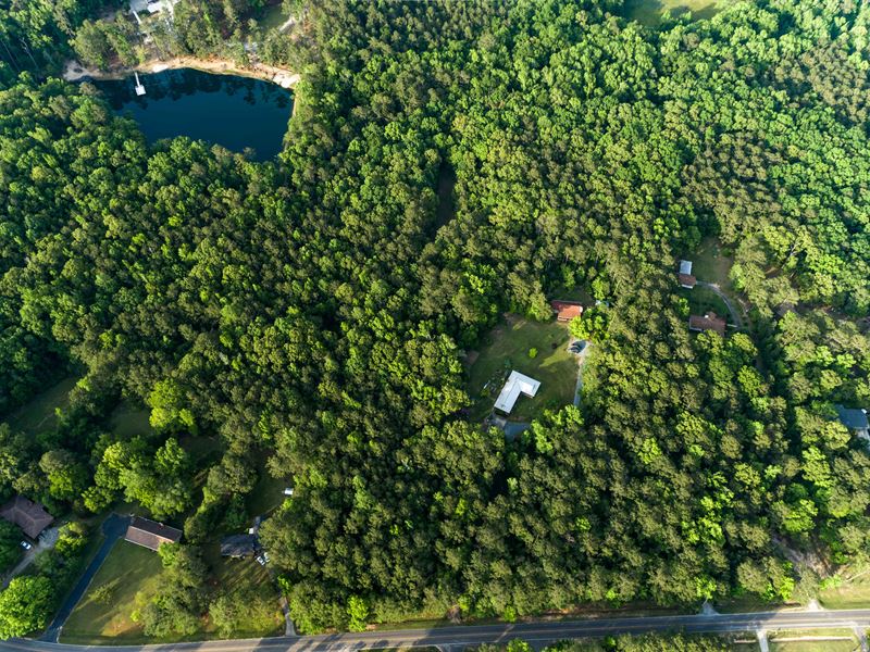 Perfect Georgia Land with a Stream : Macon : Bibb County : Georgia