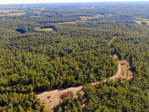 Owner Financed Land, The Ozarks : West Plains : Howell County : Missouri