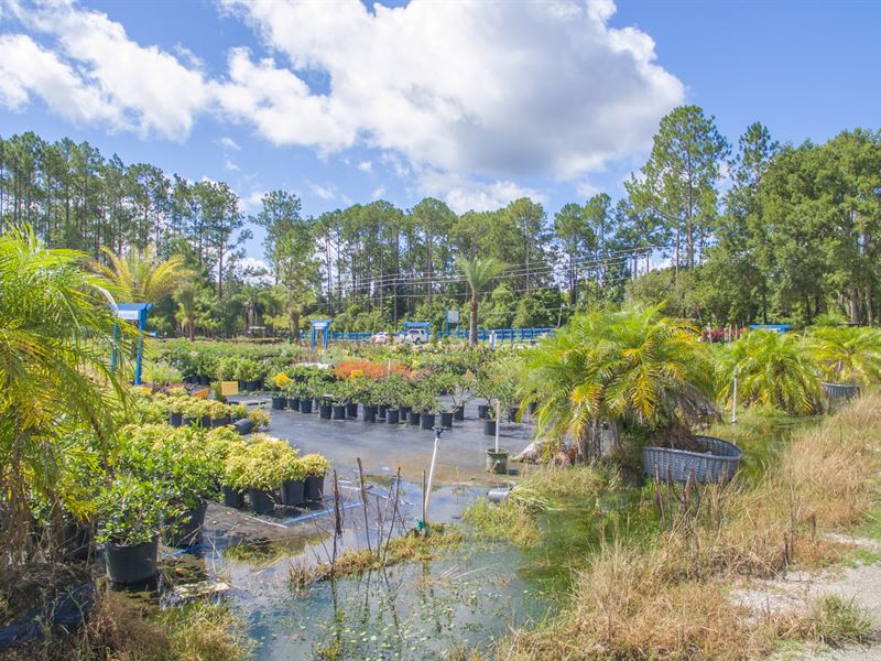 Looking to Start a Plant Nursery : Saint Augustine : Saint Johns County : Florida