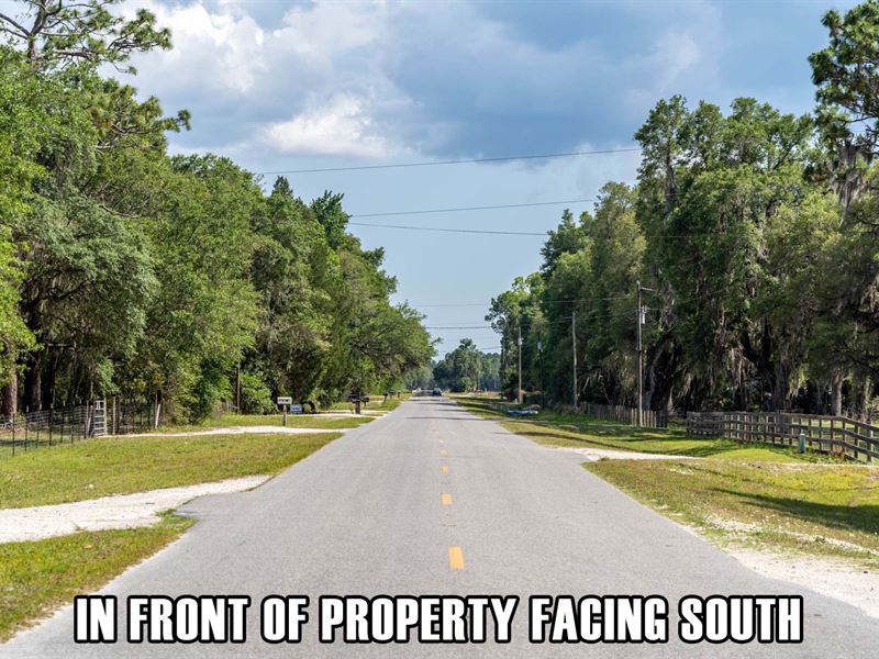 1 Country Acre On A Paved Road : Old Town : Dixie County : Florida