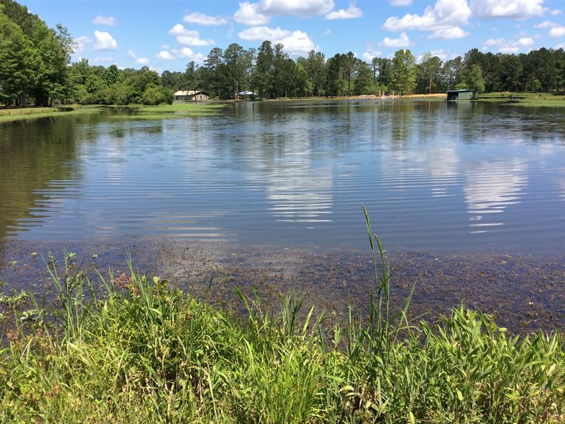 Point A Lake : Andalusia : Covington County : Alabama