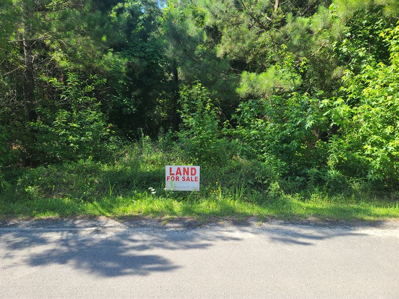 Below Market Value : Havelock : Craven County : North Carolina