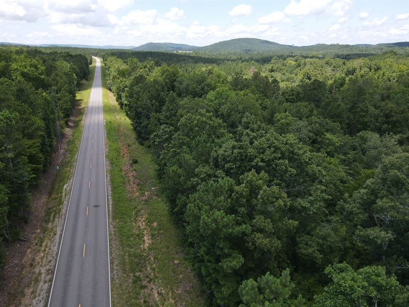 7.65 Wooded Acres : Millerville : Clay County : Alabama