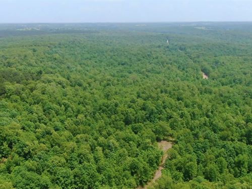 Owner Financed Land In MO : West Plains : Howell County : Missouri