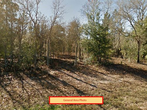 .11 Acre in Levy County, FL : Williston Highlands : Levy County : Florida