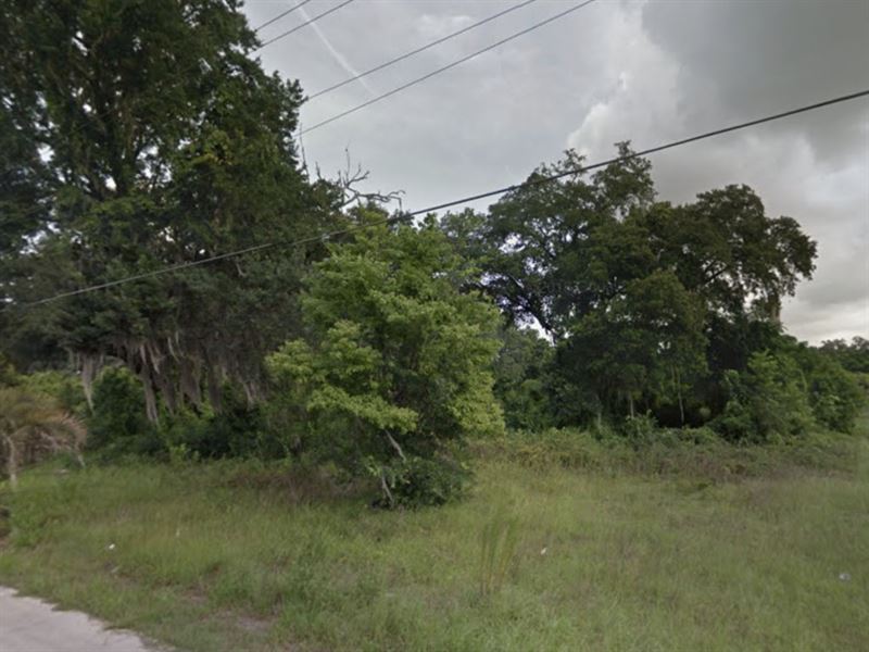 .14 Acre in Levy County, FL : Chiefland : Levy County : Florida