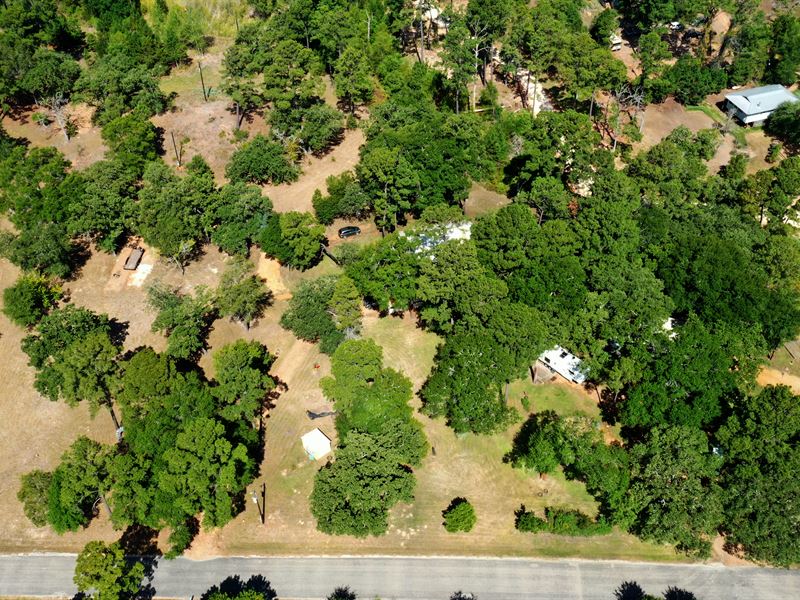 Beautiful Central Texas Acreage : Smithville : Bastrop County : Texas