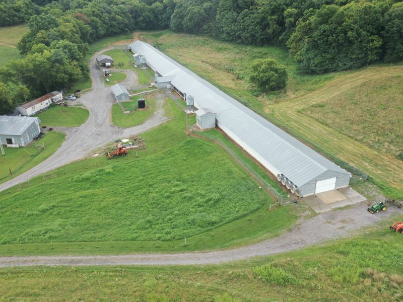 Hurley Breeder Hen Farm : Readyville : Cannon County : Tennessee