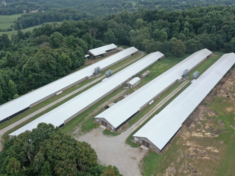 Reduced, Flowers Broiler Farm : Byrdstown : Pickett County : Tennessee