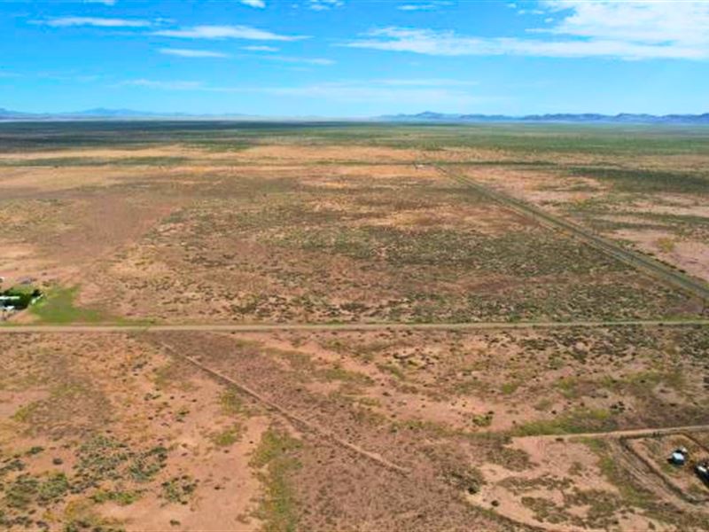 Unrestricted 10 Ac Near Deming, NM : Deming : Luna County : New Mexico