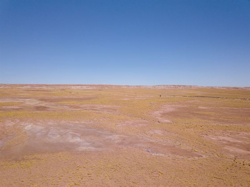 Rare County Maintained Access Lot 5 : Joseph City : Navajo County : Arizona