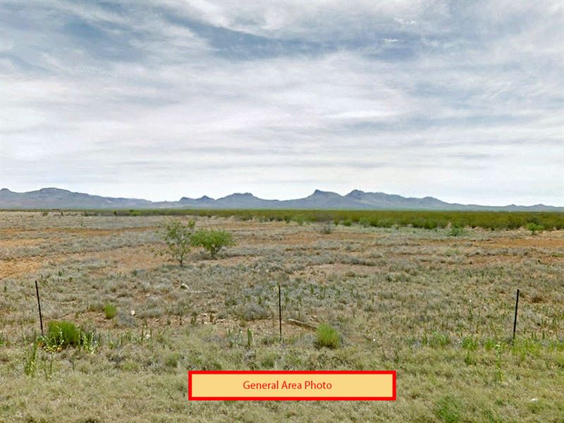 1.33 Acres in Cochise County, AZ : Douglas : Cochise County : Arizona