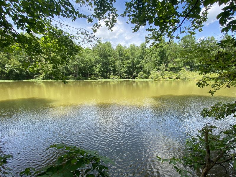 7 Acre Waterfront Neely Henry Lake : Ragland : Saint Clair County : Alabama