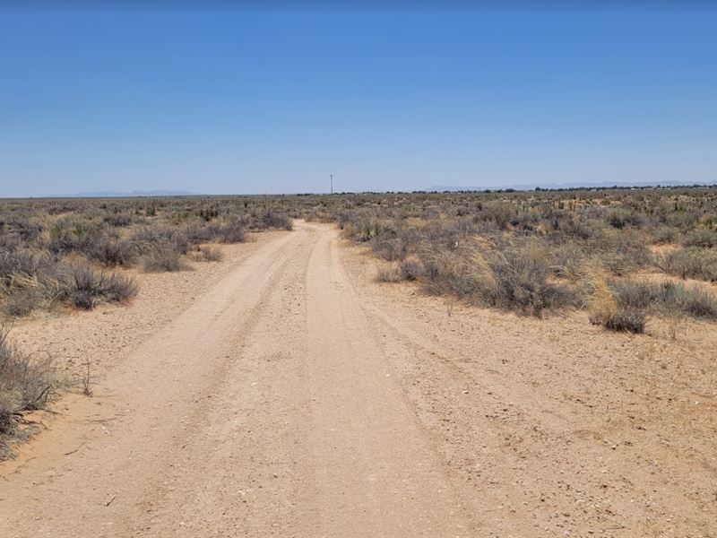 The Heat IS On, Own 2+ Acres in TX : Agua Dulce : El Paso County : Texas