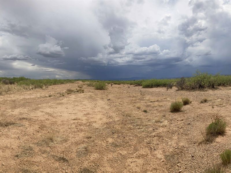 4+ Acres, $150 Down, Owner Finance : Wilcox : Cochise County : Arizona
