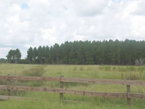 Lorida Country Estates : Sebring : Highlands County : Florida