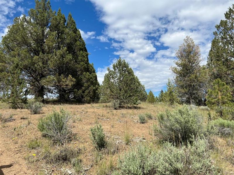 Property with Views : Sprague River : Klamath County : Oregon