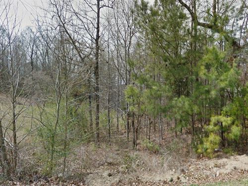 .60 Acre in St Clair County, AL : Leeds : Saint Clair County : Alabama