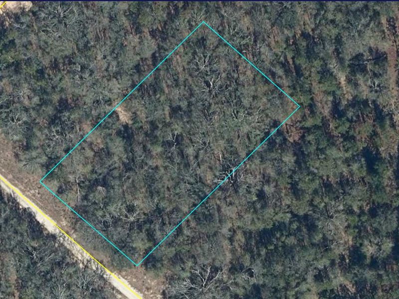 Equestrian Friendly Acre : Marianna : Jackson County : Florida