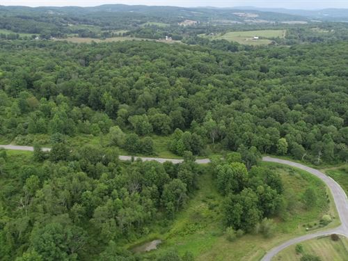 Views of The Catskills to Build : Taghkanic : Columbia County : New York