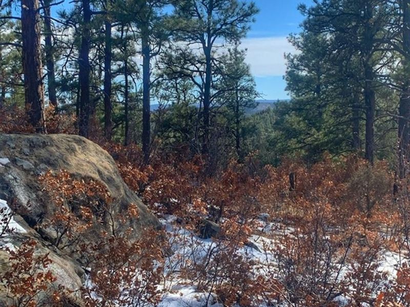 Lot 122 Spanish Highlands, Bon Carb : Bon Carbo : Las Animas County : Colorado