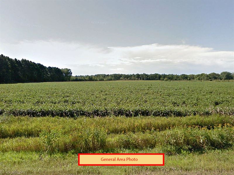 .55 Acre in Crow Wing County, MN : Roosevelt : Crow Wing County : Minnesota