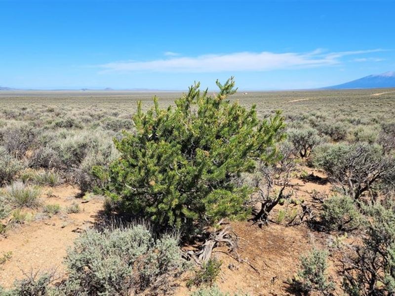 Balboa Rd, San Luis, Co 81152 : San Luis : Costilla County : Colorado