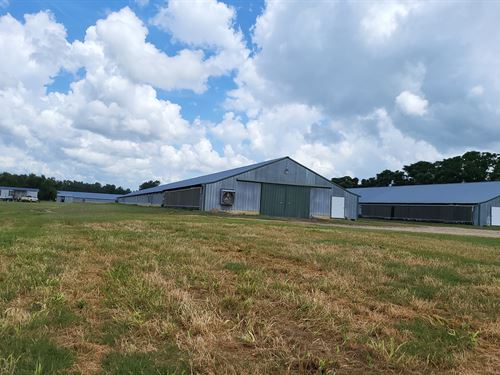 Farm with 6 Broiler Houses : Hawkinsville : Pulaski County : Georgia
