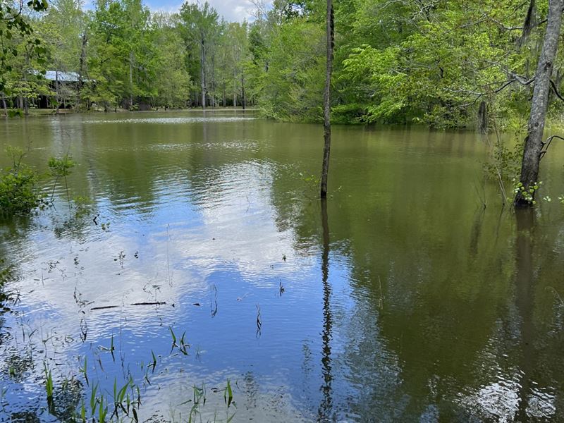 Orrville River Lot : Orrville : Dallas County : Alabama