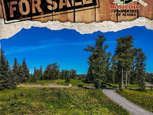 15515 Tovarish Street, Ninilchik : Ninilchik : Kenai Peninsula Borough : Alaska