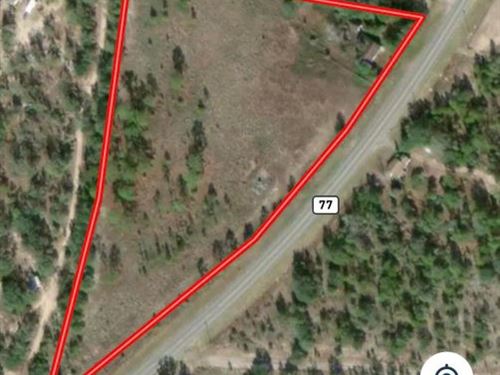 Beautiful 5 Acre Lot : Chipley : Washington County : Florida