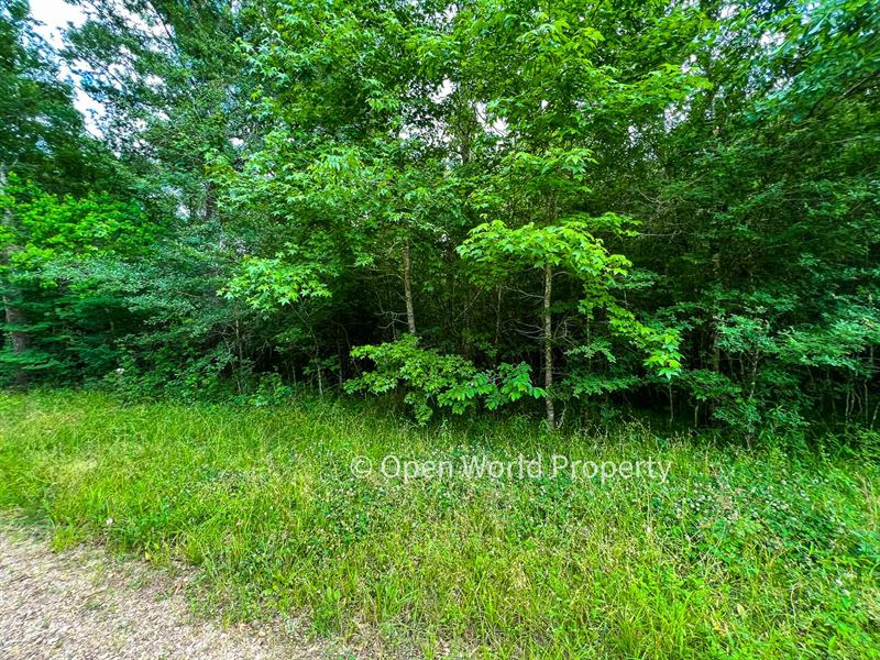 Acreage by Wildlife Refuge & River : Hardin : Liberty County : Texas