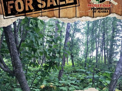 Agate Beach Subdivision : Nikiski : Kenai Peninsula Borough : Alaska