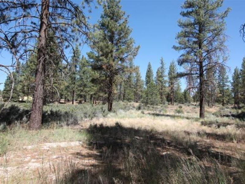 Nice Quiet Area : Sprague River : Klamath County : Oregon