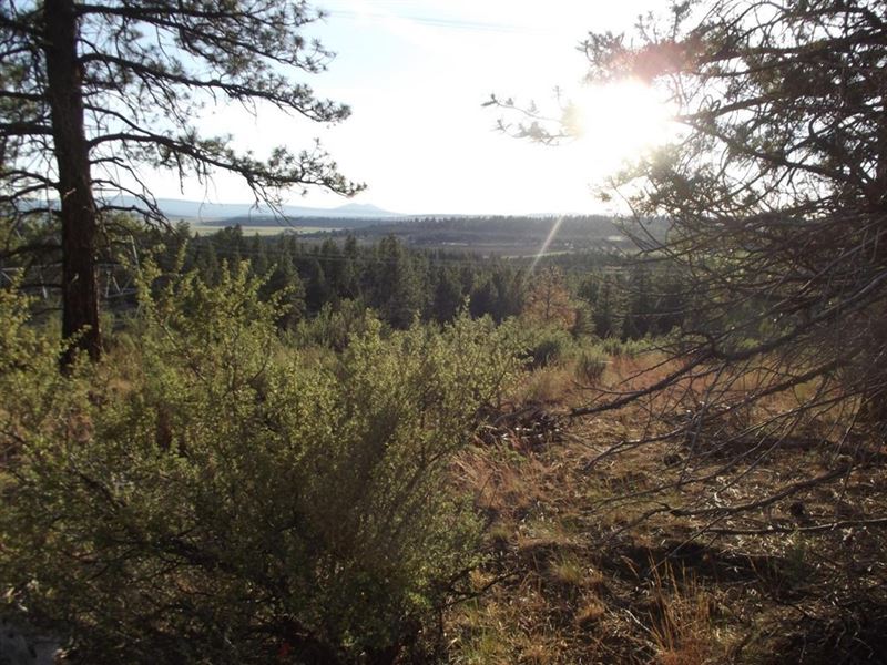 5 Acres of Off Grid Bliss : Beatty : Klamath County : Oregon