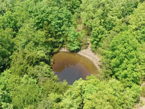 Owner Financed Land In MO : West Plains : Howell County : Missouri