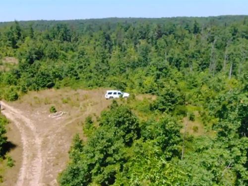 Owner Financed Rec Land : Eminence : Shannon County : Missouri