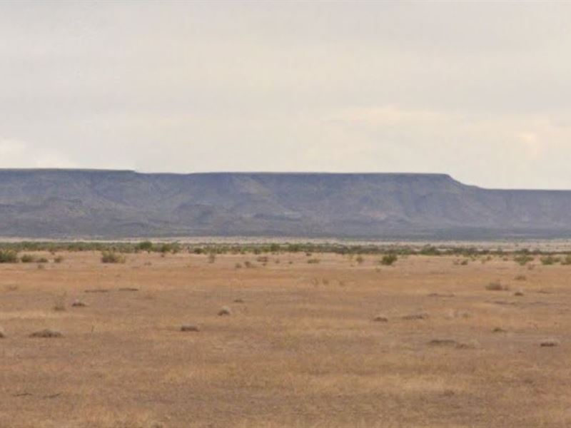 Go Camping On This Beautiful Lot : Marfa : Presidio County : Texas